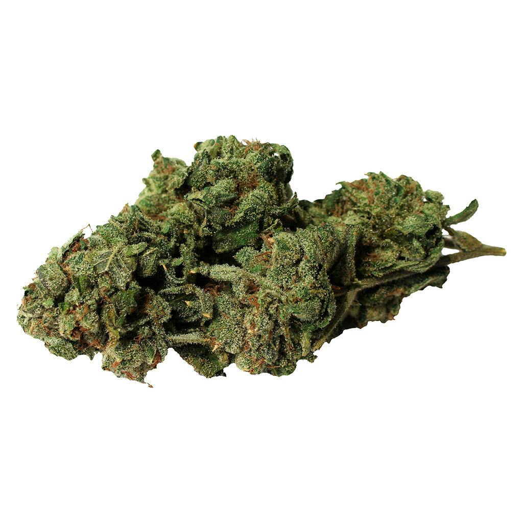 Bambu Select Double Donny