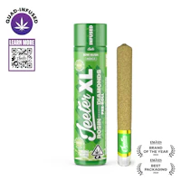 Kiwi Kush Jeeter XL Infused Pre-Roll | 2g - product image at King of Budz