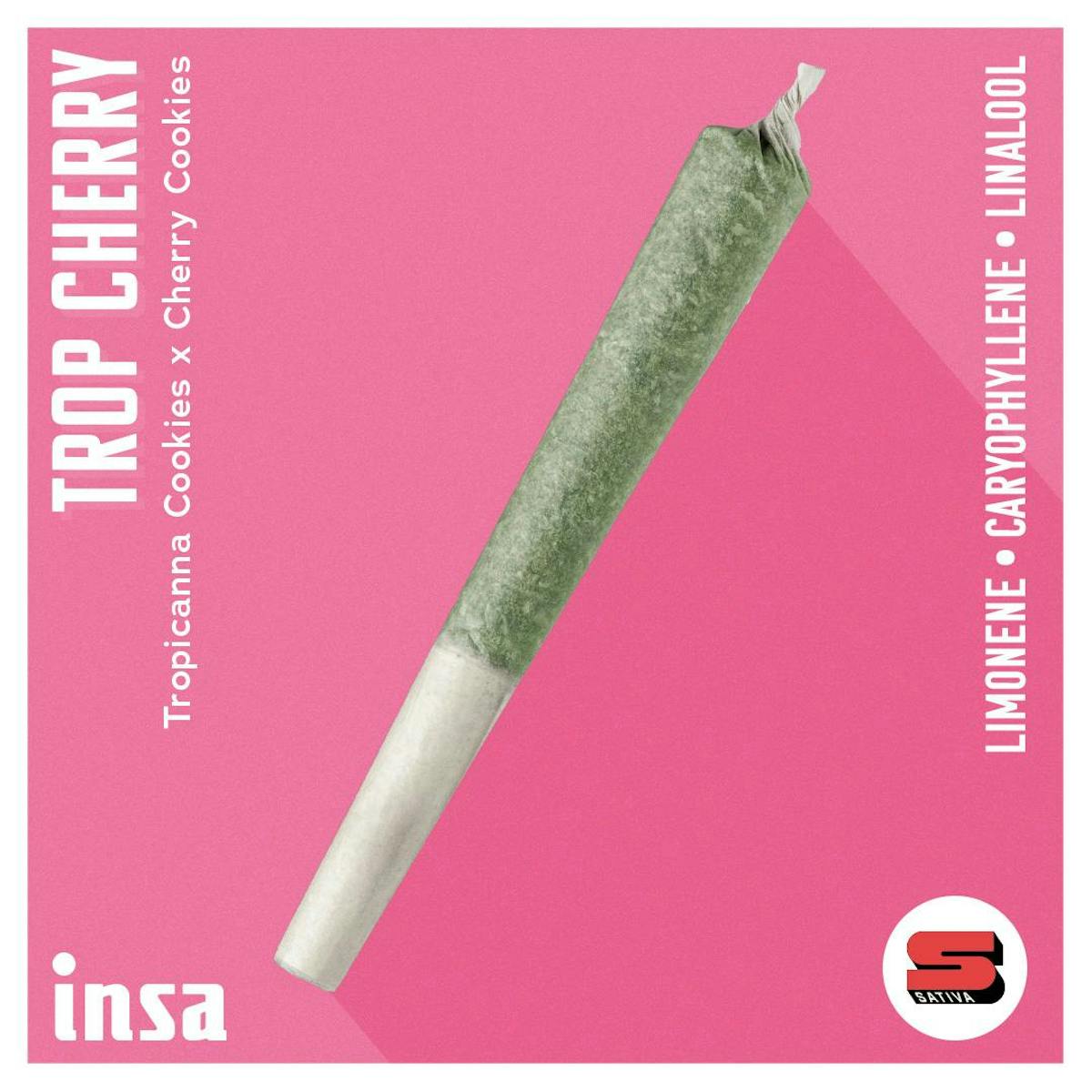 Image of Trop Cherry | 1g Preroll