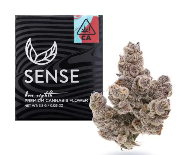 Hook Outlet Capitola