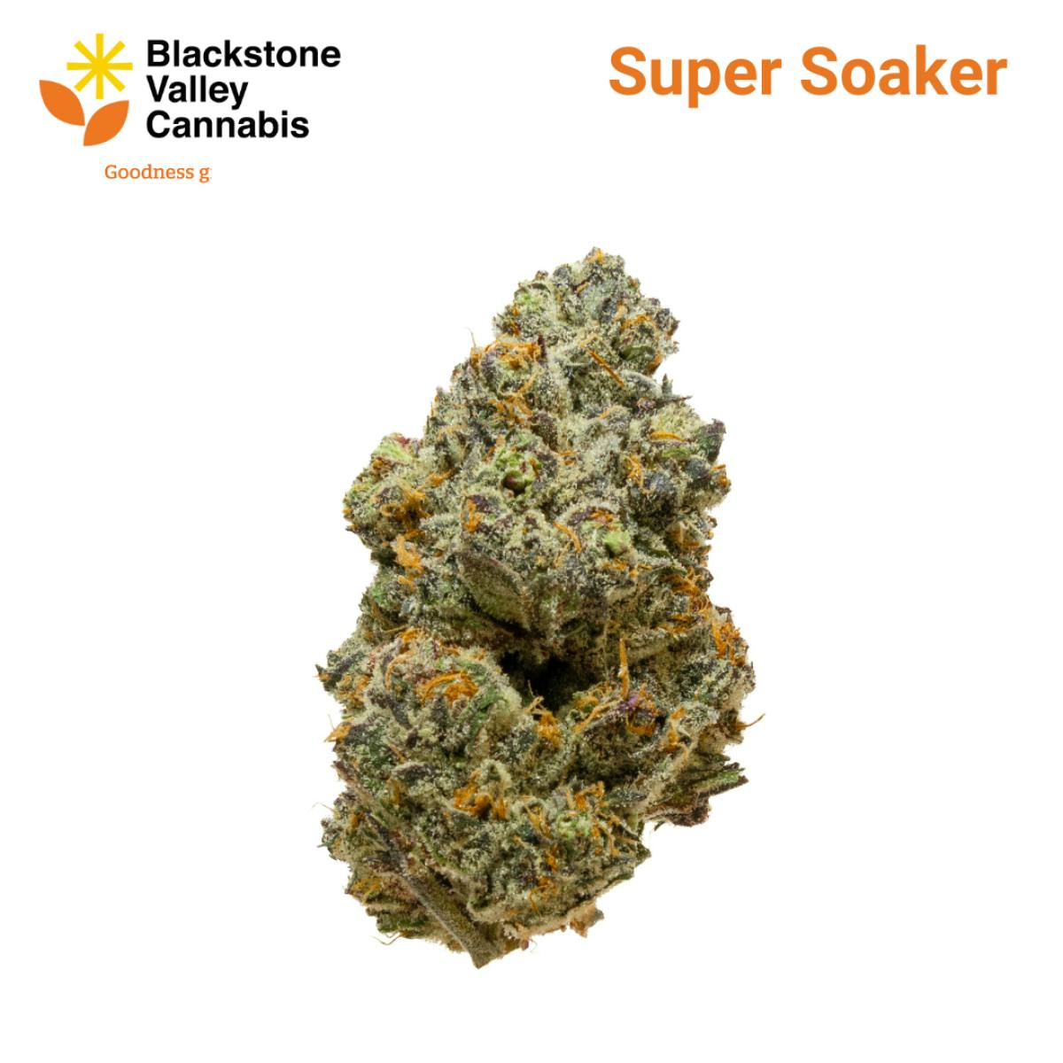 Product Super Soaker - Flower