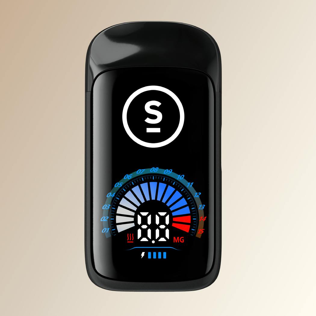 BRIQ 2 Legacy Series King Louis XIII 2g