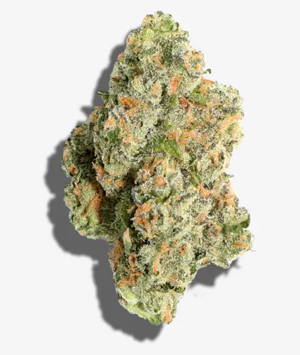 Blueberry Diesel-1