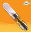 CT Pharma Snow Drift