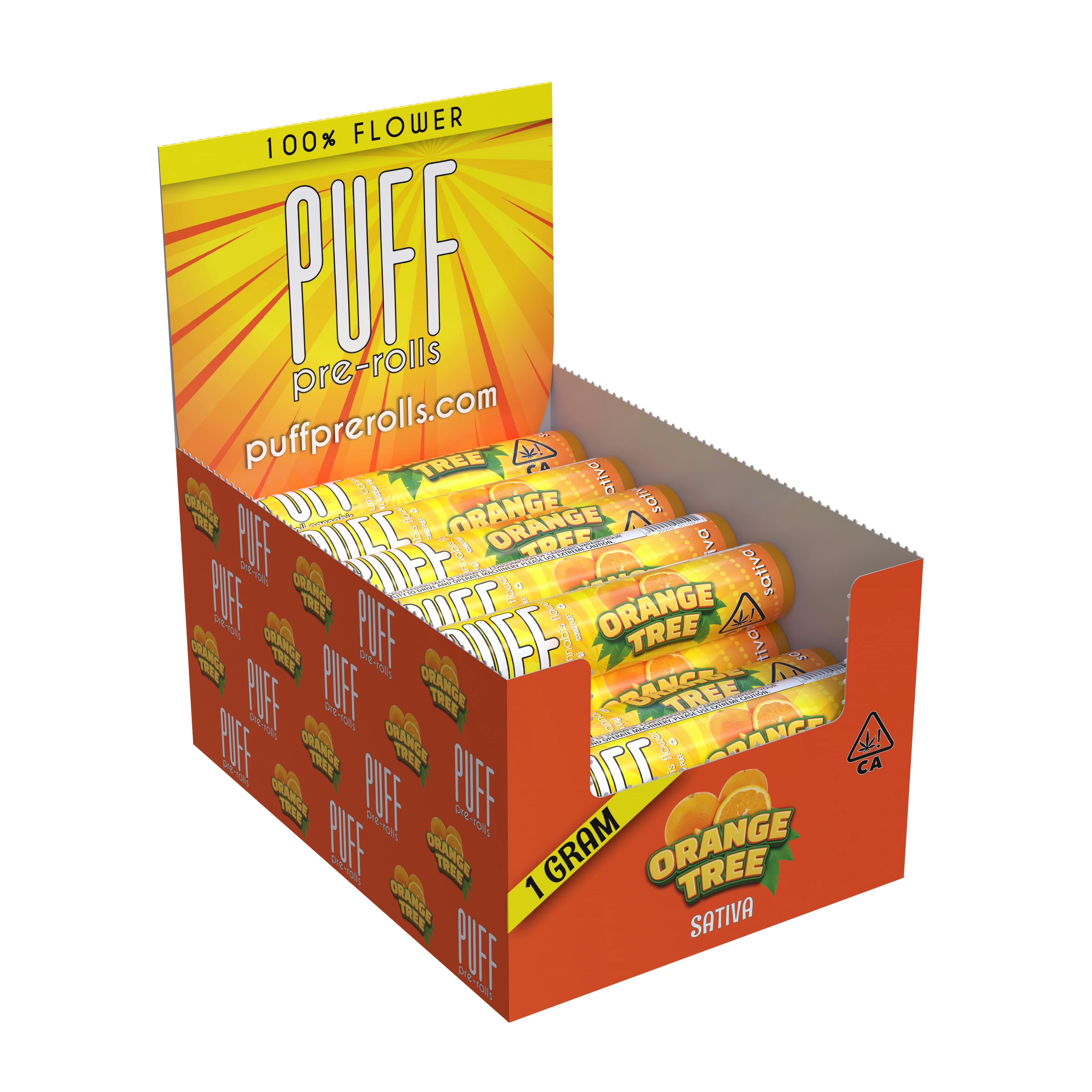 image of Orange Tree | 1g