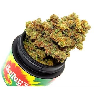 Product: Donny Burger [3.5g]