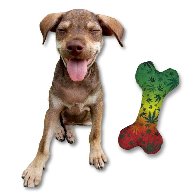 PAW:20 | Dog Toy | Stoned To Da Bone