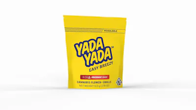 Yada Yada — Governmint Oasis