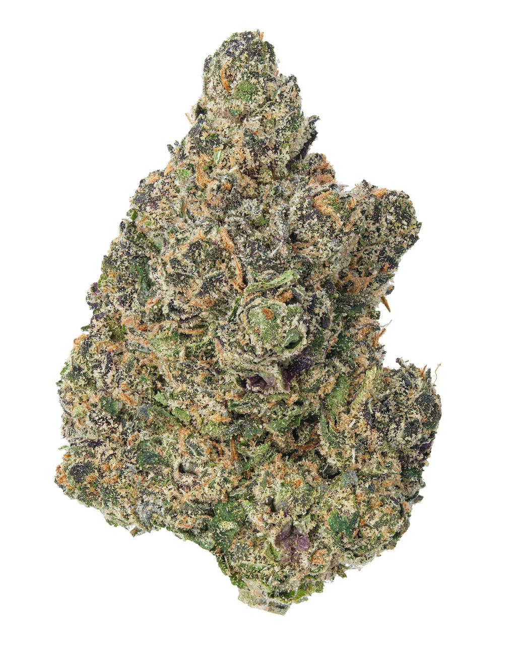 DISTRO 10 DISTRO 10 | PURPLE ICE WATER | BULK | HYBRID — FLOWER