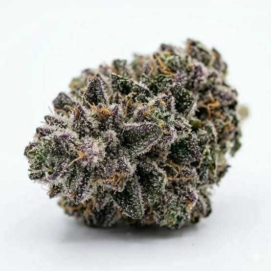 Bud & Mary's | Bulk Bud - Dolato