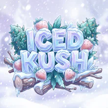 DELI - Iced Kush