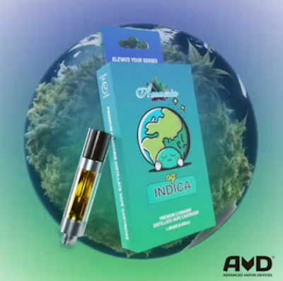 Amnesia - 1g Cart - OG