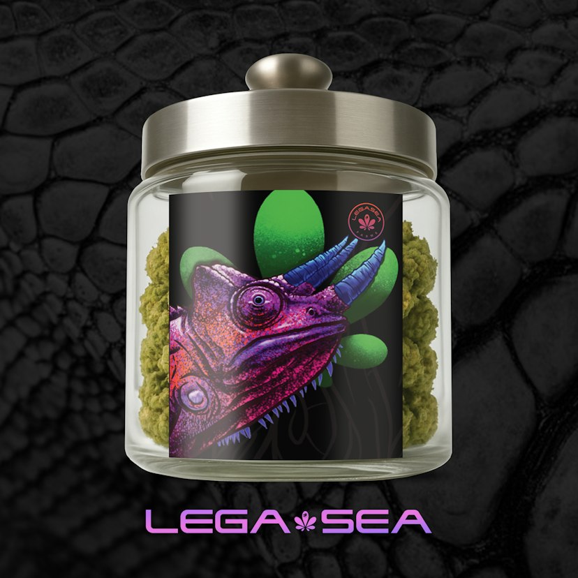 LegaSea | Frost Hammer