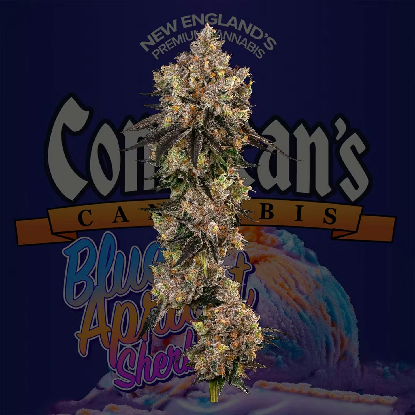 CommCan - Flower 3.5g - Blue Apricot Sherbert