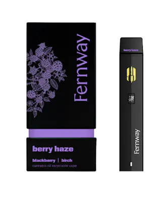 Shop THC Vapes & Vaporizers | Brotherly Bud