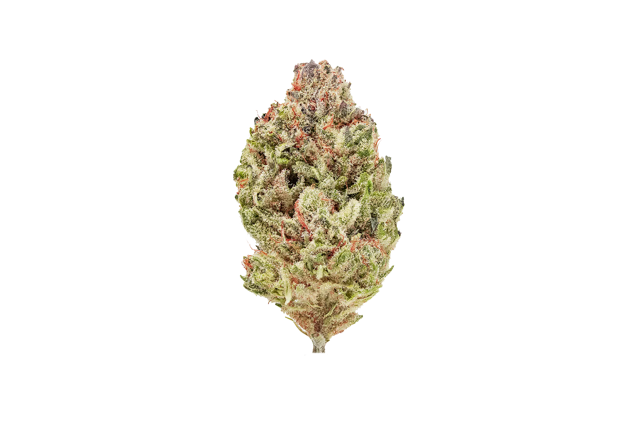 Cannabis Edibles | Pure Options - Mt. Pleasant | 104