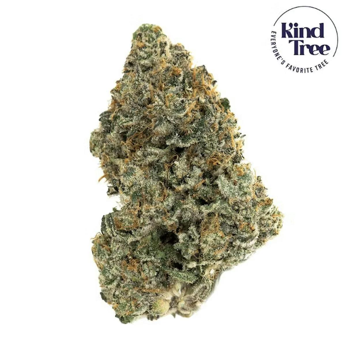 Photo of Kind Tree l Lemon Dream Littles l 7g