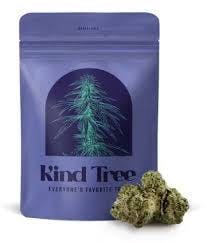 Kind Tree Mango Mindset