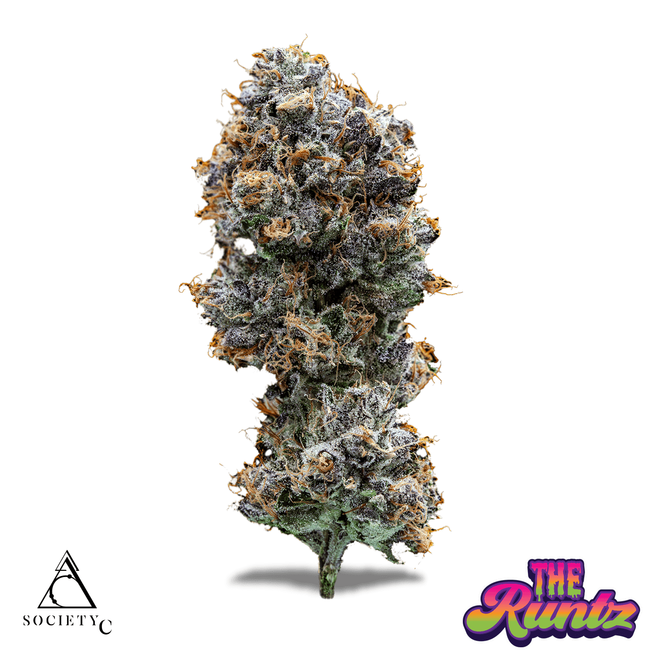 Product: Society C | Bulk Bud - The Runtz