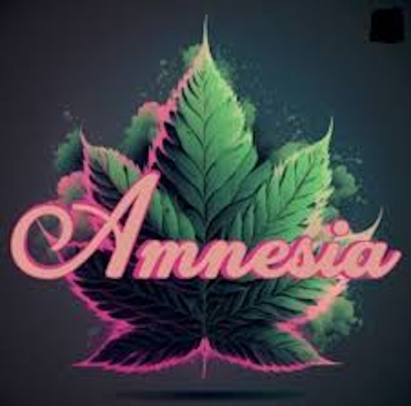 Amnesia | 1.3g Bubble Hash Infused Pre-Roll | Apple Burst