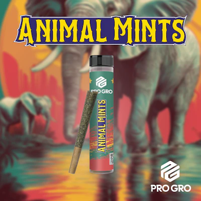 Animal Mints 1g Pre-Roll - PRE_ROLLS by Pro Gro at King of Budz