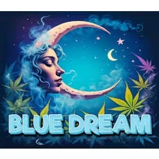 Dragonfly - 28g - Blue Dream