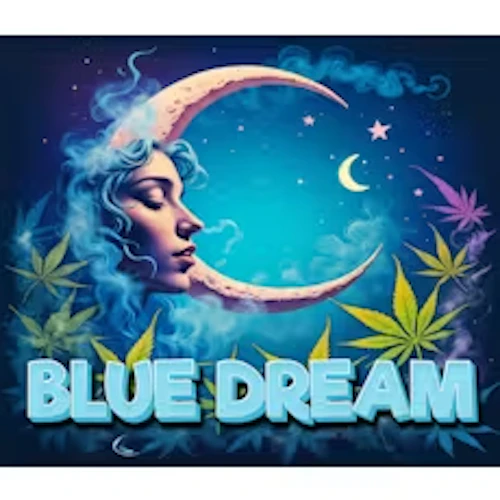 Dragonfly - 28g - Blue Dream