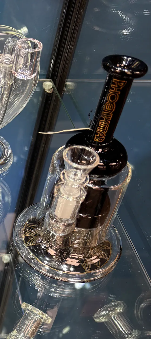Glass Phoenix Star 7" Showerhead Perc Black w Accent (glassware)