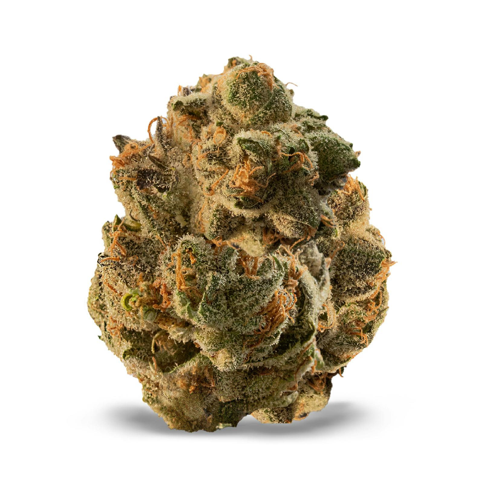 Blueberry