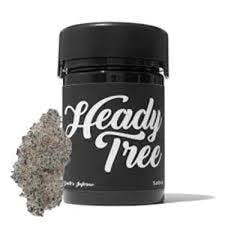 Heady Tree | Yellow Mermaid | Flower | 3.5g