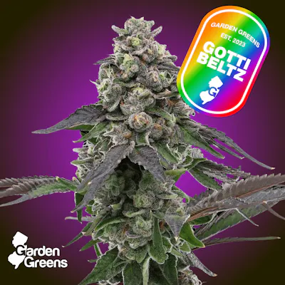 Shop Craft Kings | Flower | Citrus Haze | 14g In New Jersey | HASHERY
