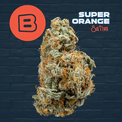 Super Orange Smalls-active