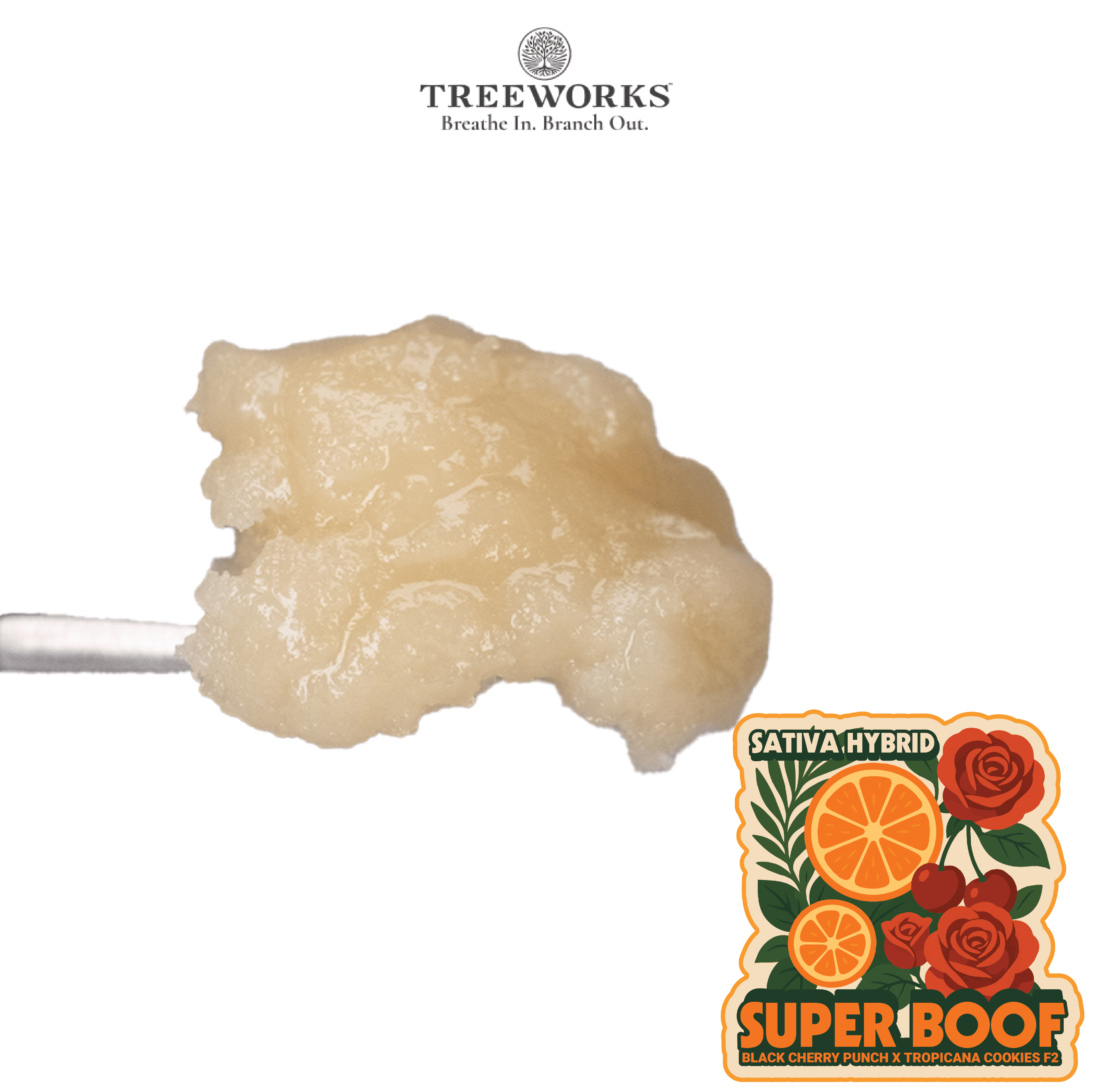 Product: Treeworks | Super Boof | Live Hash Rosin Jam