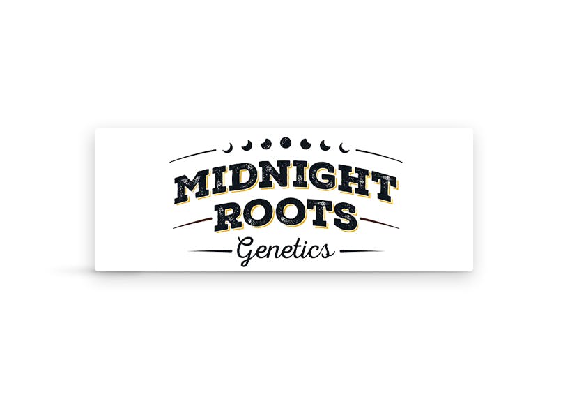 Image of Midnight Roots - Sugar Free Milk Chocolate - 200mg Chocolate Bar