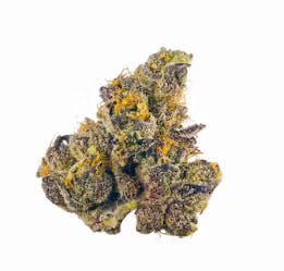 Photo of Gold Shelf – Gusher Mintz (H)
