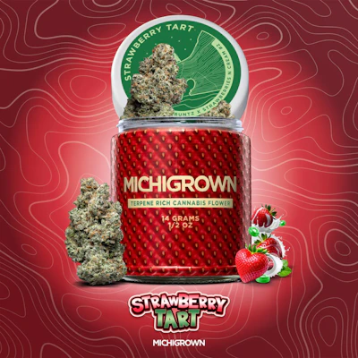 Michigrown - 14g Prepack Jar - Strawberry Tartz - FLOWER by Michigrown at King of Budz