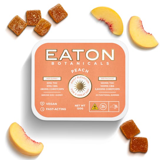 Daily Elevation | Peach | 1:1 | 20pk