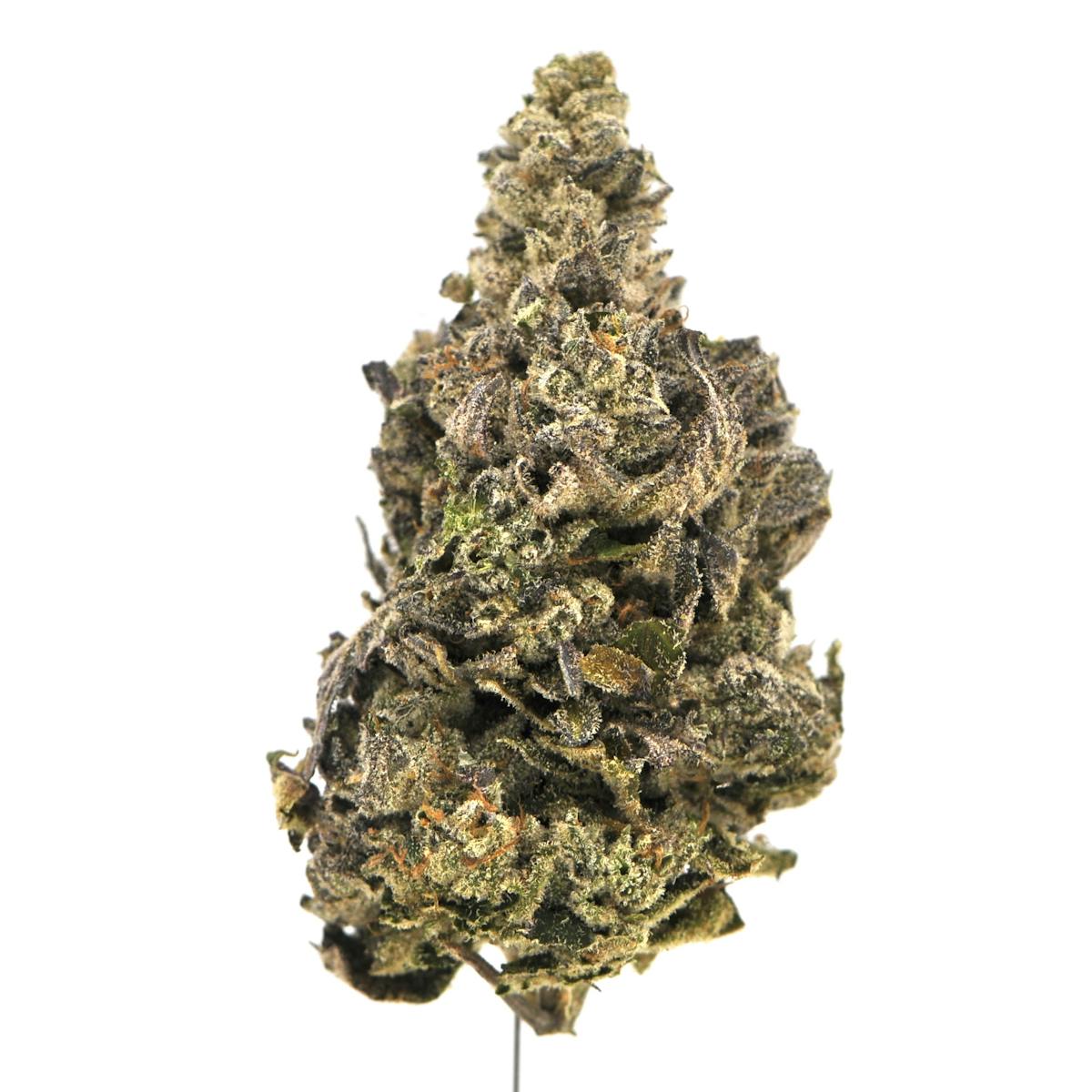 Image of Cake Runtz | 1g House Flower