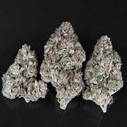 Product: Seed Junky | Bulk Bud - Super Runtz