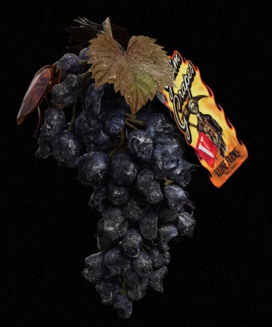 Flower | Vlone | Grim Grape Ape | 3.5g