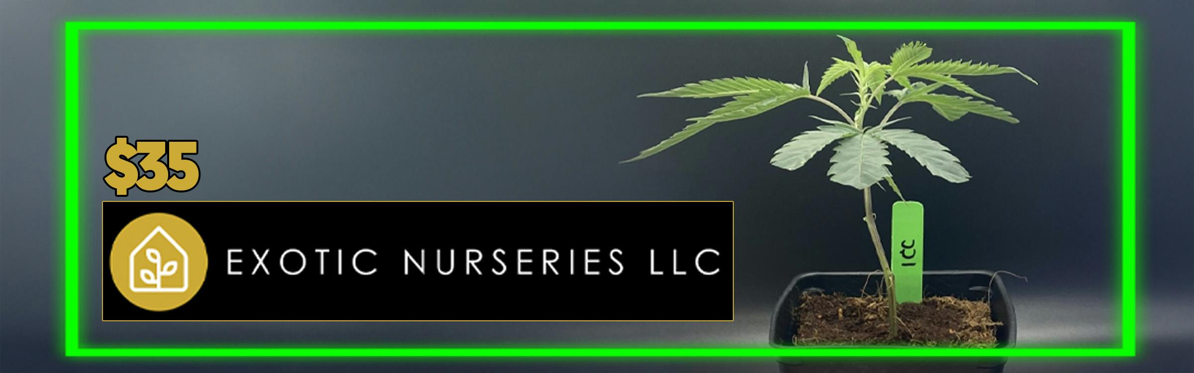 Doja Weed Cannabis Gummies Gummy Joints Pre Rolls Concentrate 24/7  Service Portage Kalamazoo Battle Creek Vicksburg Lume Refinery House Dank Bud Marys Stiiizy High Profile Mint Green Eden First Class Joyology 4th July Fireworks Weekend Sales Weather Labor Day Back to School Detroit Lions Tigers Halloween Thanksgiving Friendsgiving Christmas Hanukkah Kwanza 2026 Super Bowl Valentines Day