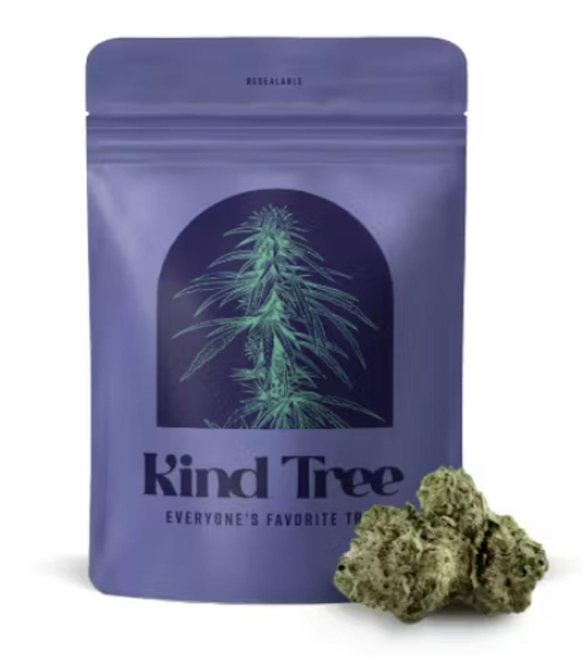 Photo of Kind Tree l Durban Poison l 3.5g