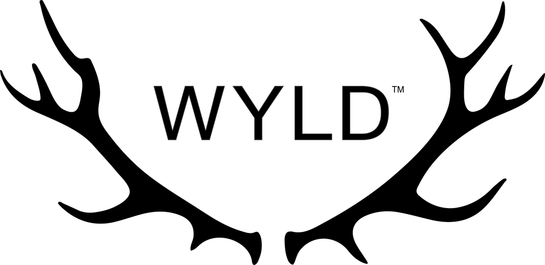 WYLD Good Tide | Kiwi Strawberry | Infused Gummies | 200mg THC : 100mg CBD : 100mg CBG | Sativa