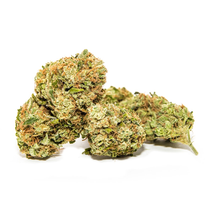 Garlic Breath Flower: (H)