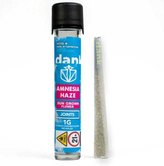 Dank | Amnesia Haze | 1g (Sungrown)