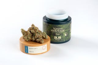 Hash Plant (#1) 3.5g
