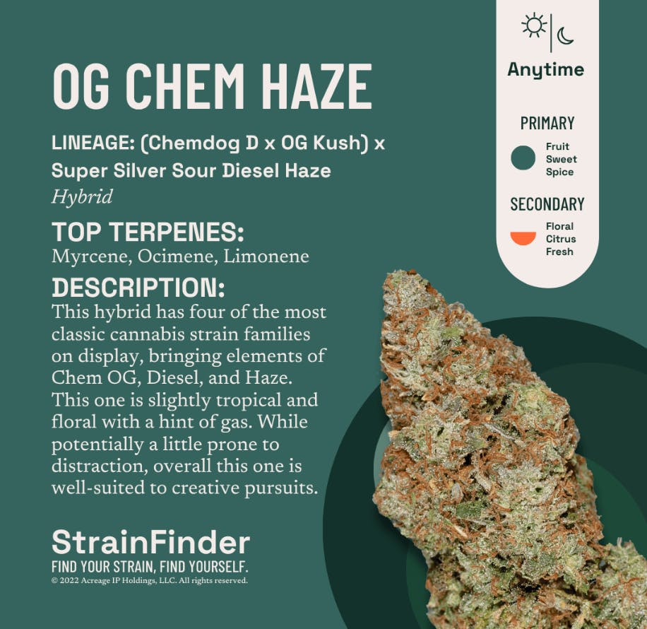 OG Chem Haze | Flower | 14g by The Botanist | Buy Online