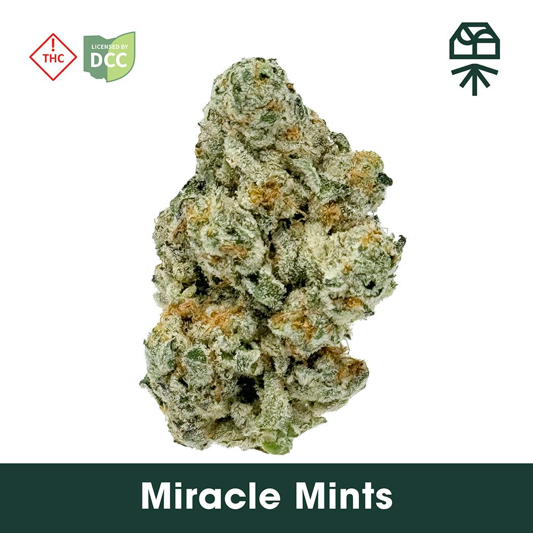 Grassroots: Miracle Mints - Smalls 14g