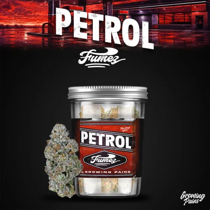 Growing Pains - 14g Prepack - Petrol Fumez