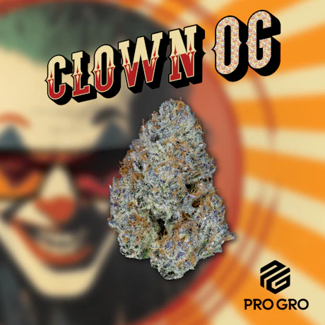 Clown OG Pre Roll | 1g - product image at King of Budz